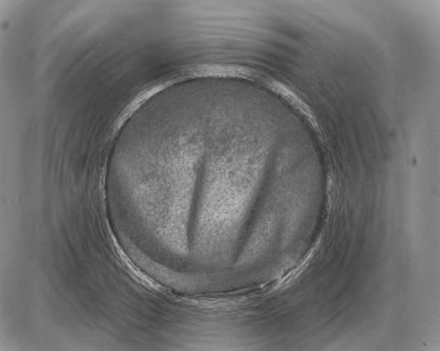 X0000085261033200703231710