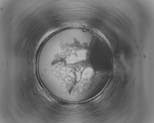 X0000085261035200703231710