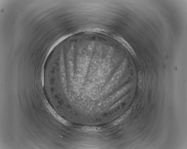 X0000085261036200703231710