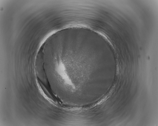 X0000085261038200703231710