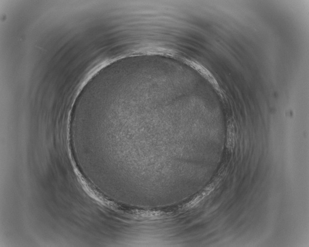 X0000085261039200703231710