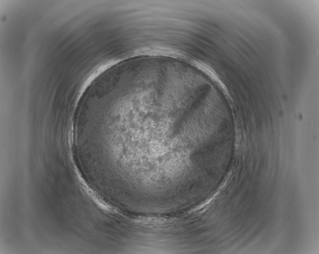 X0000085261040200703231710