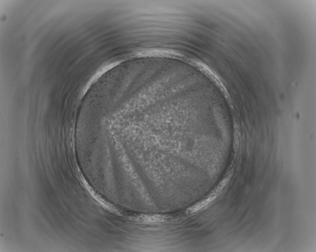 X0000085261041200703231710