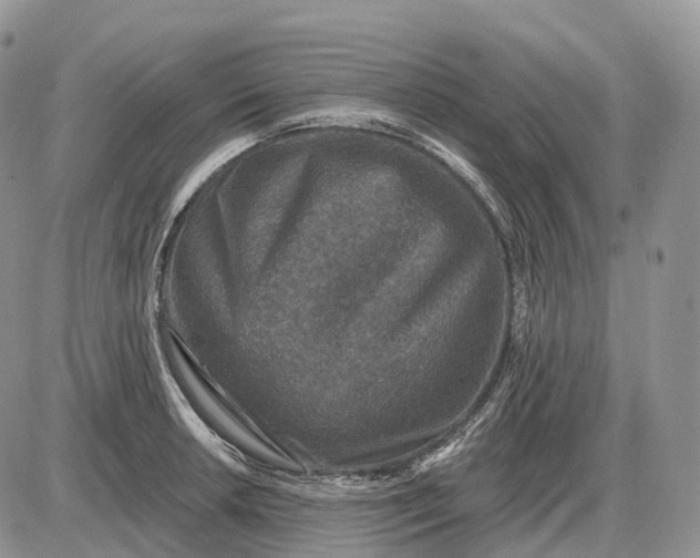 X0000085261042200703231710