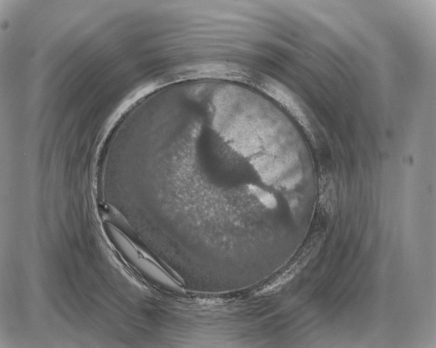 X0000085261043200703231710