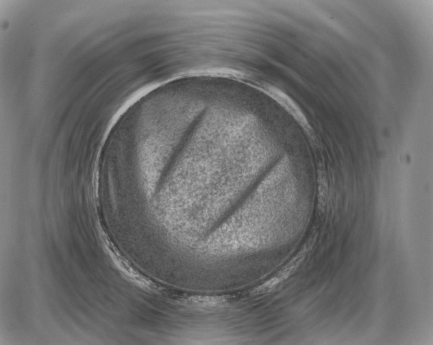 X0000085261044200703231710