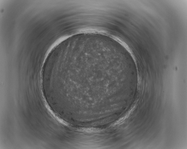 X0000085261045200703231710