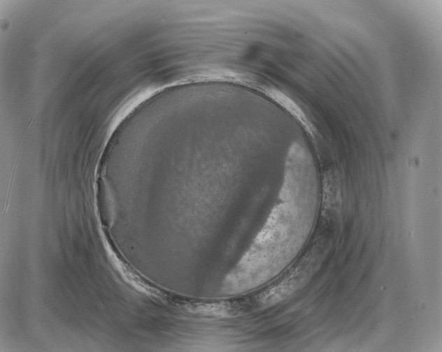 X0000085261047200703231710