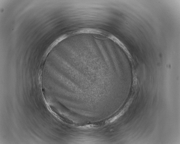 X0000085261049200703231710