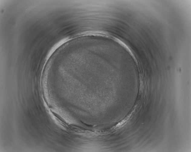 X0000085261050200703231710