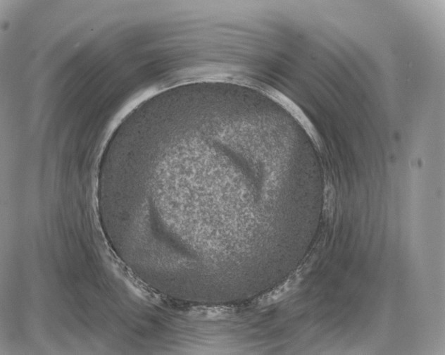 X0000085261051200703231710