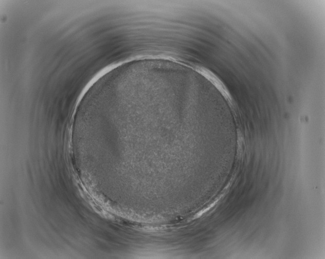 X0000085261052200703231710