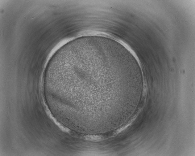 X0000085261053200703231710