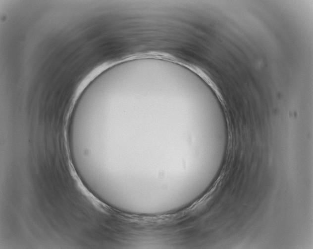 X0000085261054200703231710