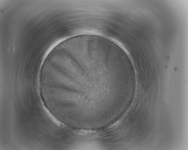 X0000085261056200703231710