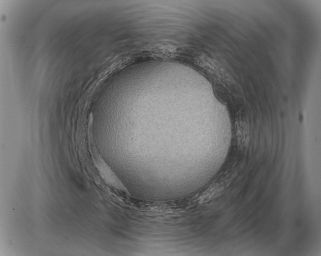 X0000085261057200703231710