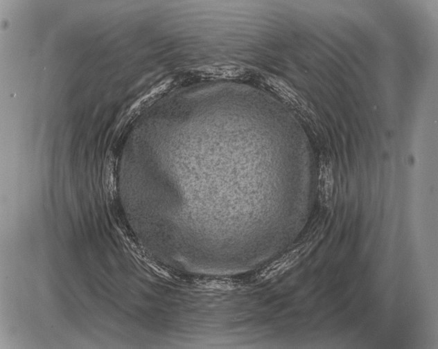 X0000085261058200703231709