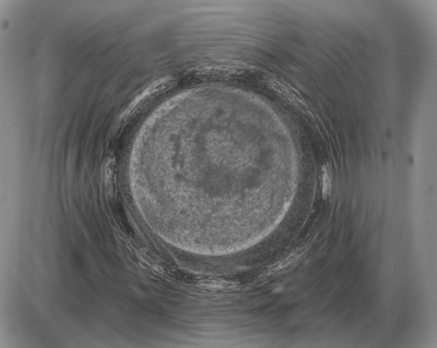 X0000085261059200703231709