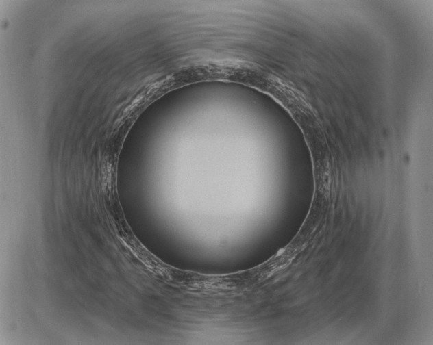 X0000085261061200703231709