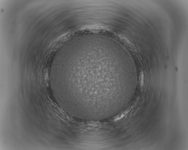 X0000085261062200703231709