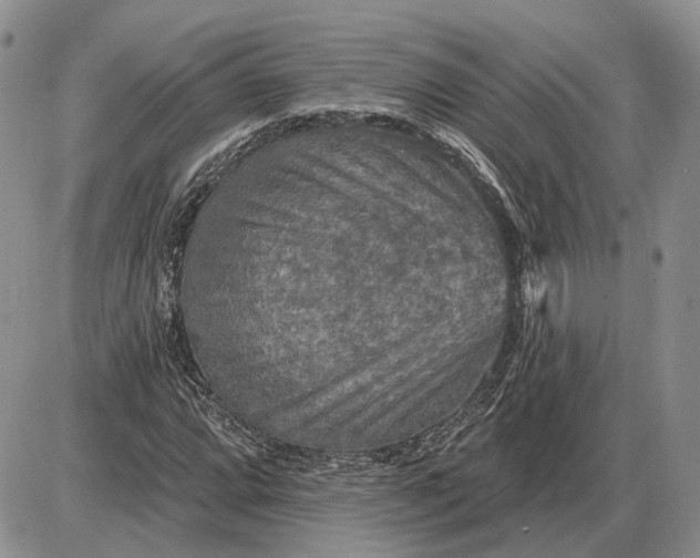 X0000085261064200703231709