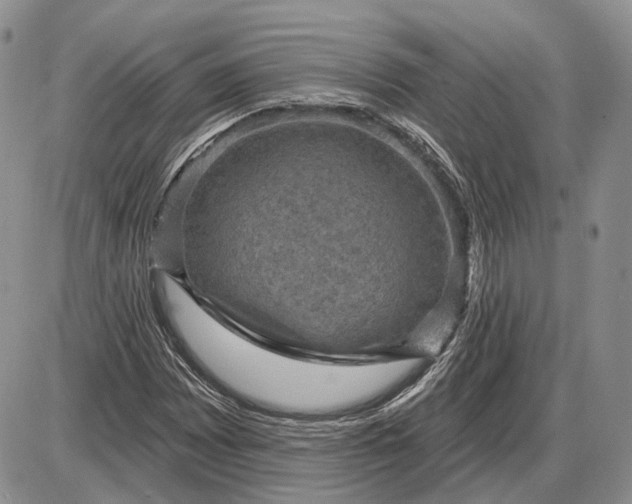 X0000085261065200703231709