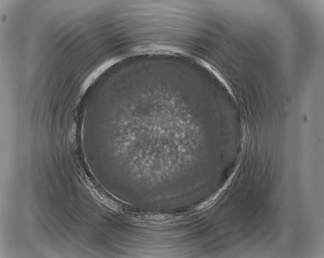 X0000085261066200703231709