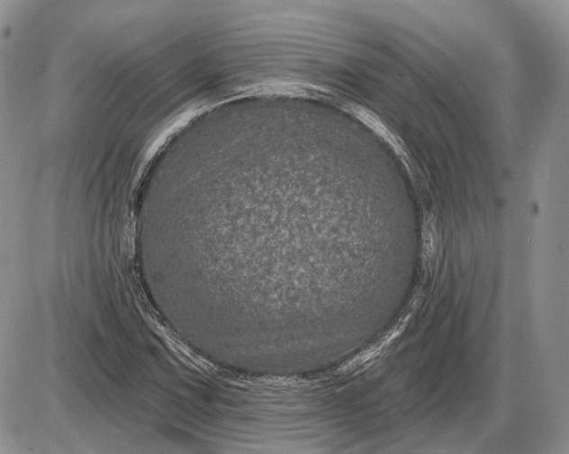 X0000085261067200703231709