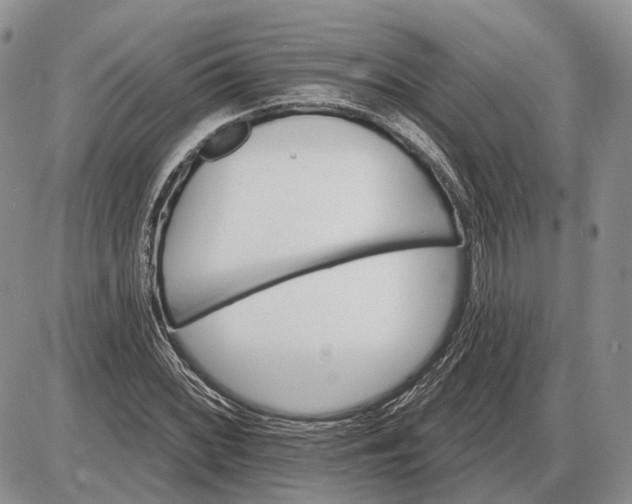 X0000085261068200703231709