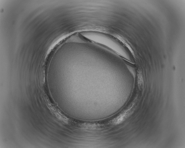 X0000085261069200703231709