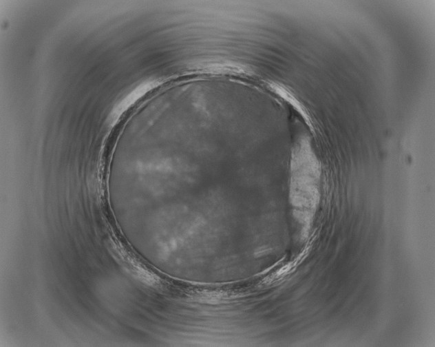 X0000085261071200703231709