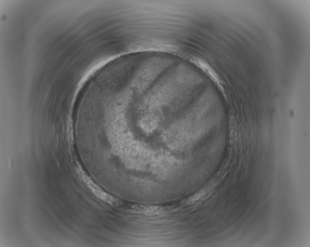 X0000085261072200703231709