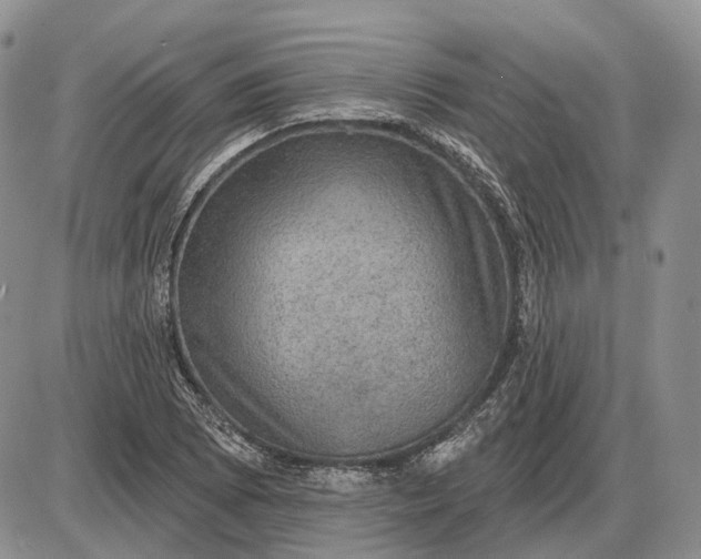 X0000085261073200703231709