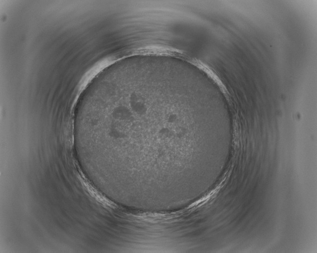 X0000085261075200703231709