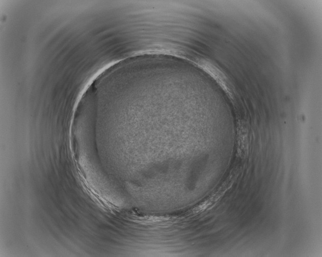 X0000085261076200703231709