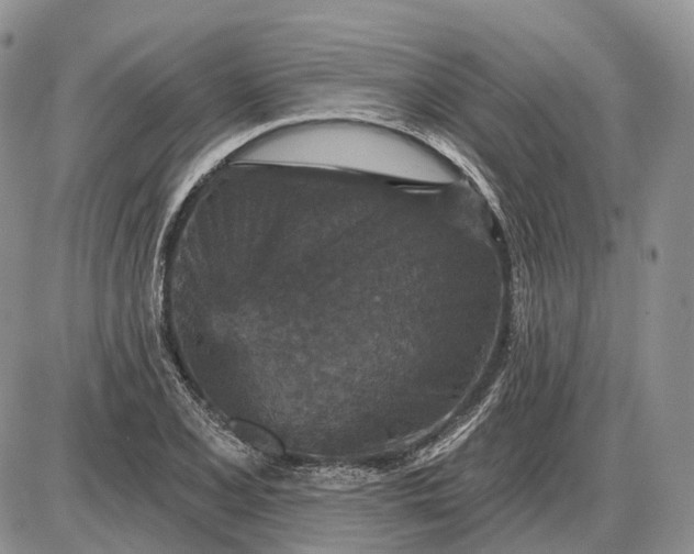 X0000085261077200703231709