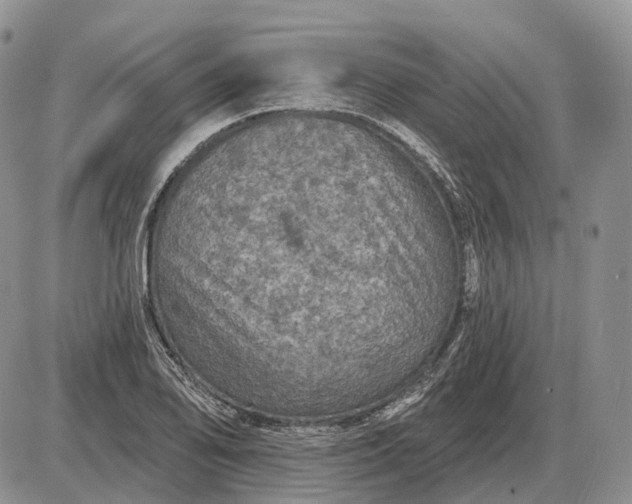 X0000085261078200703231709