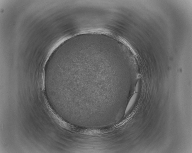 X0000085261079200703231709