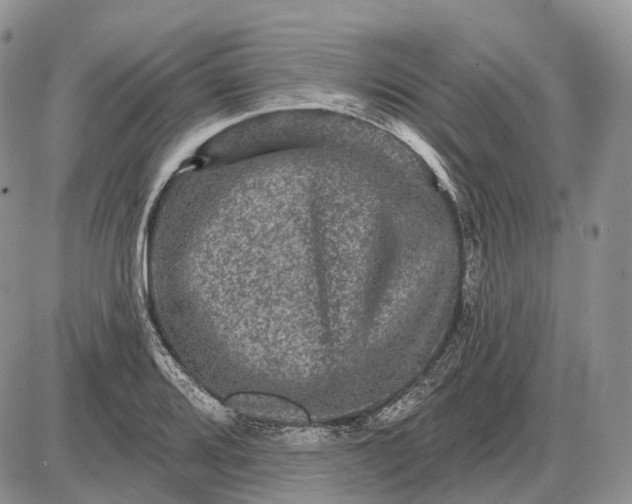 X0000085261080200703231709