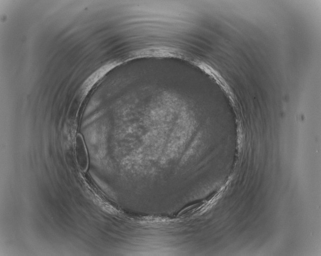 X0000085261081200703231709