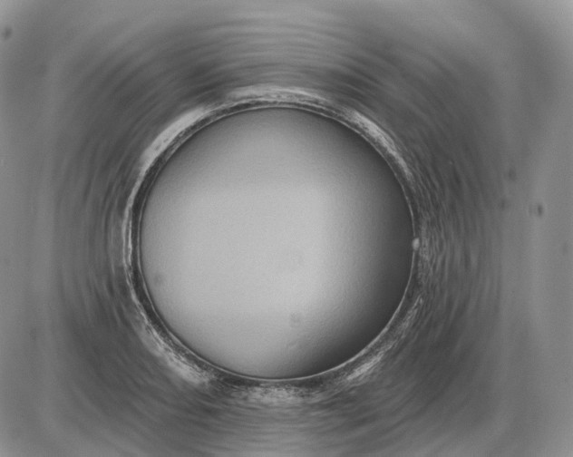 X0000085261082200703231709