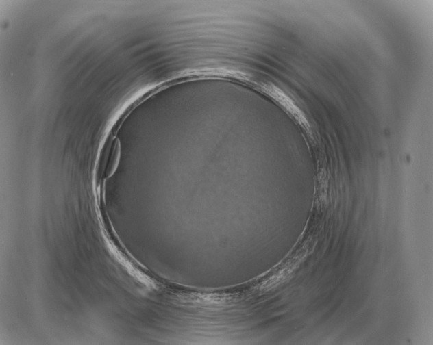 X0000085261084200703231709