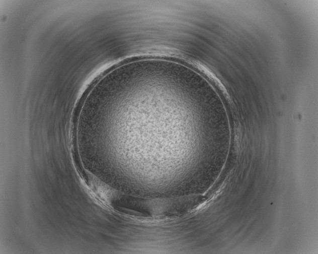 X0000085261085200703231709