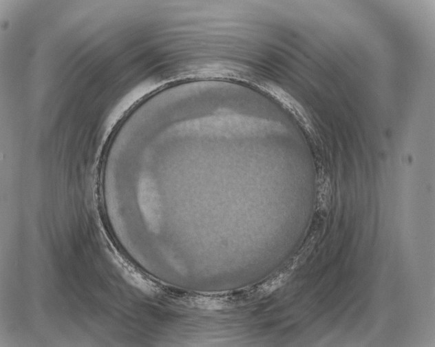 X0000085261086200703231709