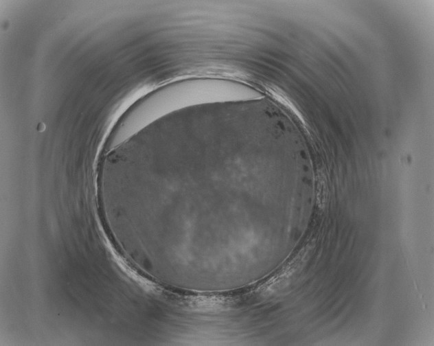 X0000085261087200703231709