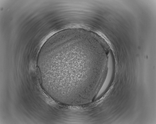 X0000085261089200703231709