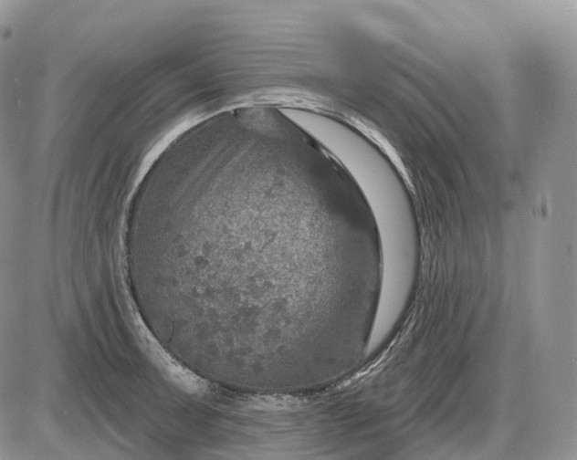 X0000085261091200703231709