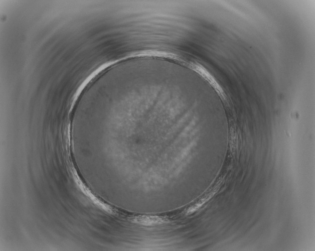 X0000085261092200703231709