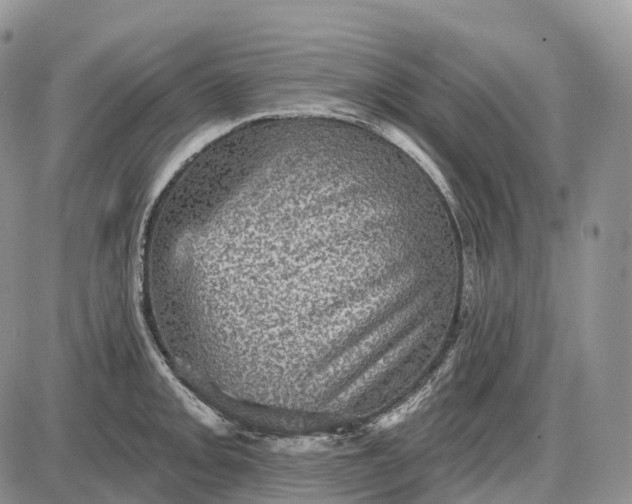 X0000085261093200703231709