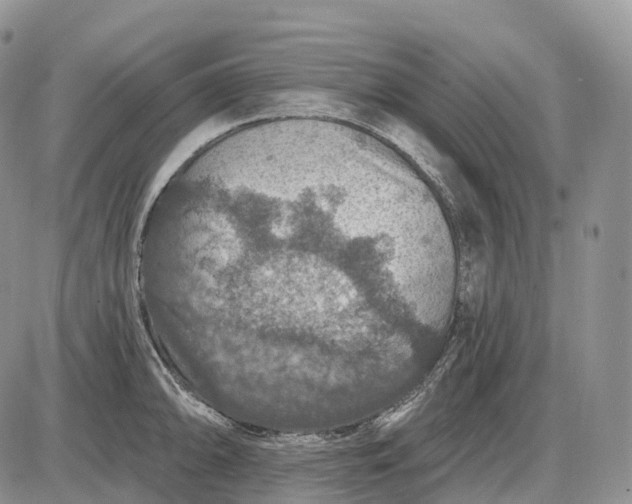 X0000085261094200703231709